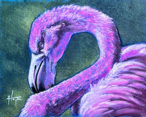 Pink Beauty