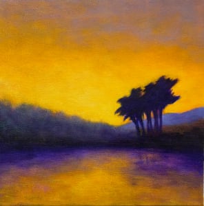 Sunset Cypress