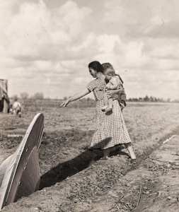 Harvest