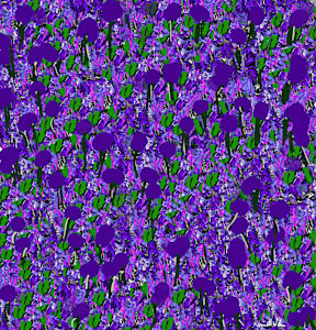 Field of Flowers, 2