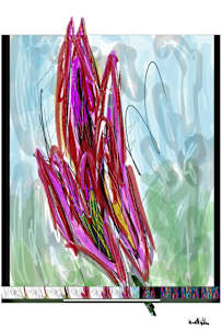 Flower in Window