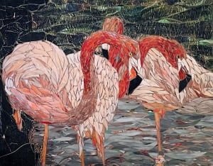 Flamingos