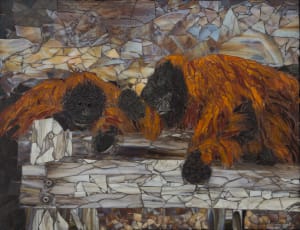 Orangutan