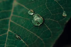 Después de la lluvia