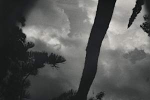 Microensayo visual en cuatro actos