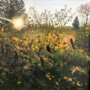Sunset Passing