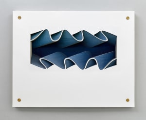 Volute