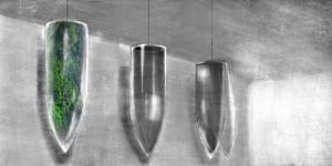 Ltd. Ed. from the PROJECT PATH: BIOTOPE-CONTAINED