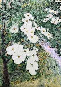 Peace Park Dogwoods