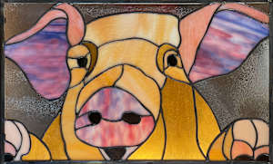 Pig