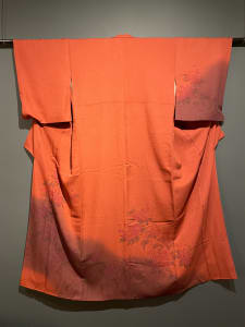 Kimono - Hōmongi