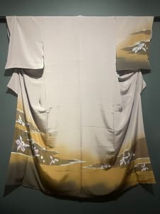 Kimono - Hōmongi