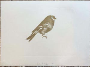Goldfinch Limited Edition Lithography 22/50