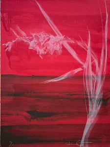 Gladiolas #1 11/25