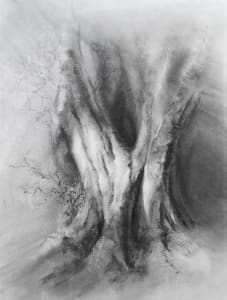 Calder bundled beech