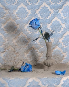 Blue Roses with Dust 3/6