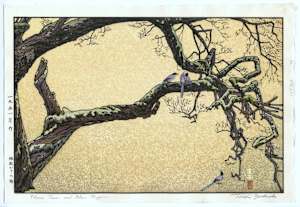 Plum Tree and Blue Magpie (Juzukake no Ume)