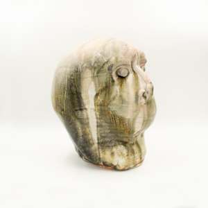 Untitled [Silent Witness]
