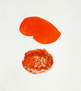 Plexiglass Chest and Silicone Nipple Reconstruction