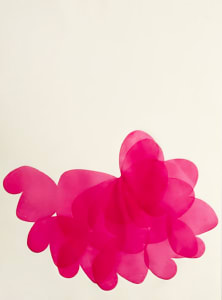 Swing pink