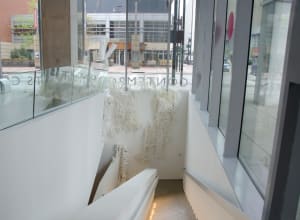 Ornamental Invasion (Contemporary Arts Center, Cincinnati)