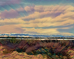 Morning Refuge - Unframed Print