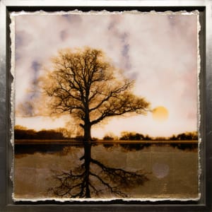 Reflect - VIII