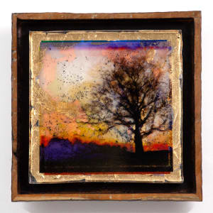 Asymmetree 7, Silhouette at Dusk - I