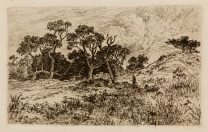 “Hunting Berkshires”