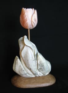 Tulip