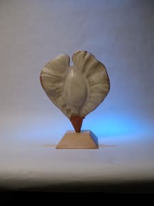 Elm Samara