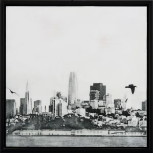 San Francisco Waterfront with 2 Birds #0920-05