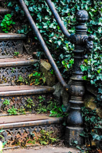 Steps with Ivy - Capitol Hill, Washington DC