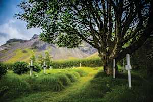 Ancient Cemetery - Oraefi, Iceland
