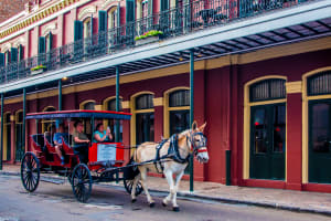 Horse Drawn Carriage - New Orleans