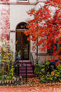 Door with Red Maple - Capitol Hill