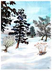Winter Trees