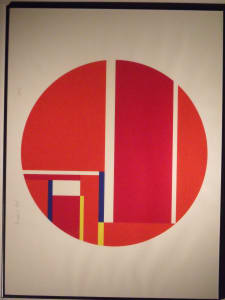 Geometrics D