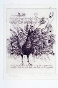 Peacock