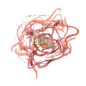 The spirals reverse