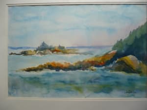 Maine Islands Study