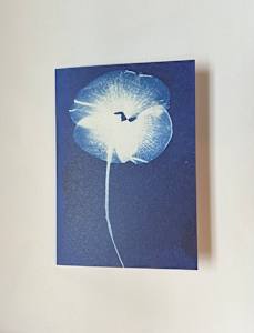 Cyanotype Note Card Poppy