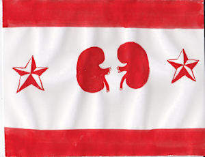 "In Kidneys We Stand"
