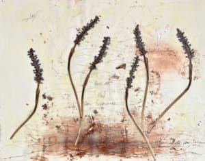 Dear Lawrence Drawings No.45