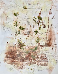 Dear Lawrence Drawings No.47