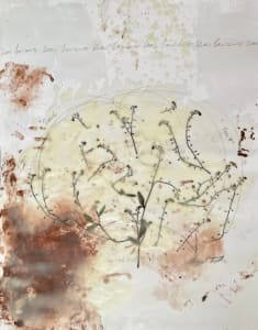Dear Lawrence Drawings No.56