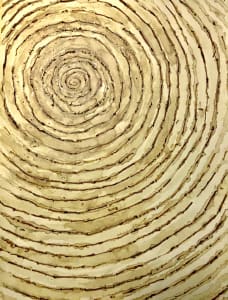 Spiral Worm Drawing No.9