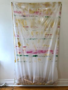 Transparent Negative Plastic Bag Painting (red yellow green)