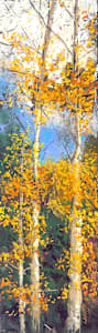 Aspen Vista