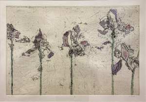 Five Iris